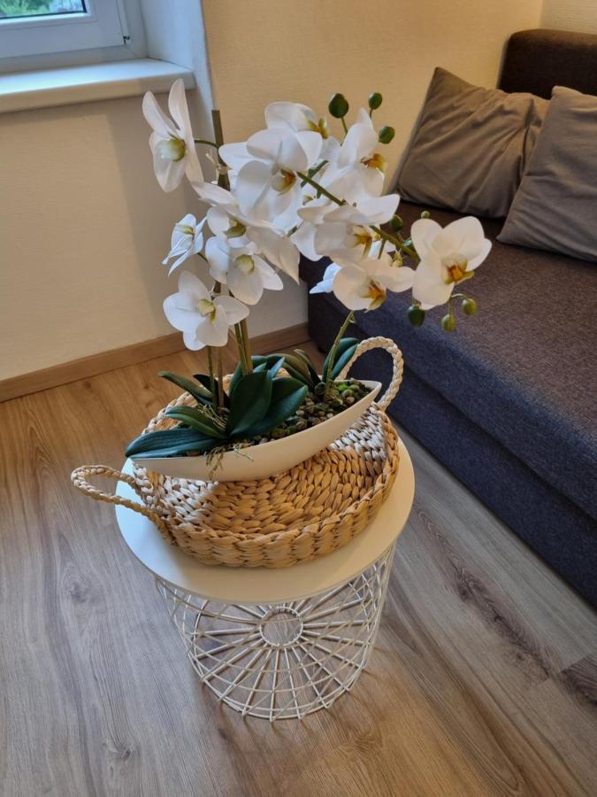 Edlbach Apartment Seebachhof מראה חיצוני תמונה